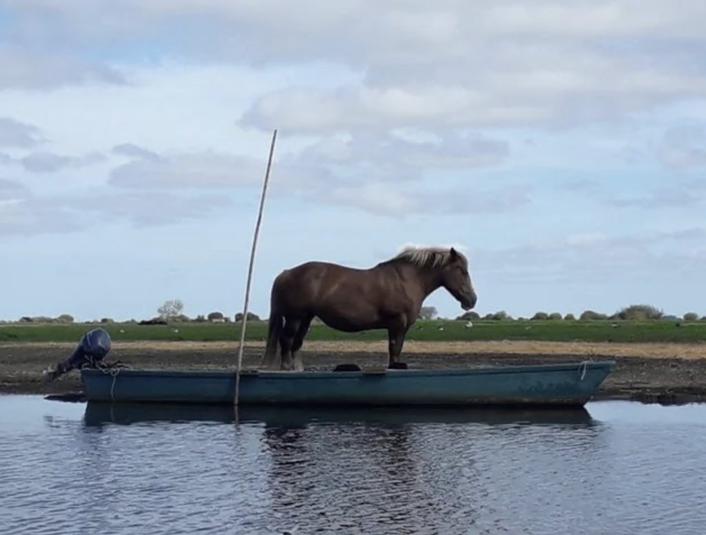 Links 10/31/2025 | naked capitalism Links 10/31/2025 | naked capitalism